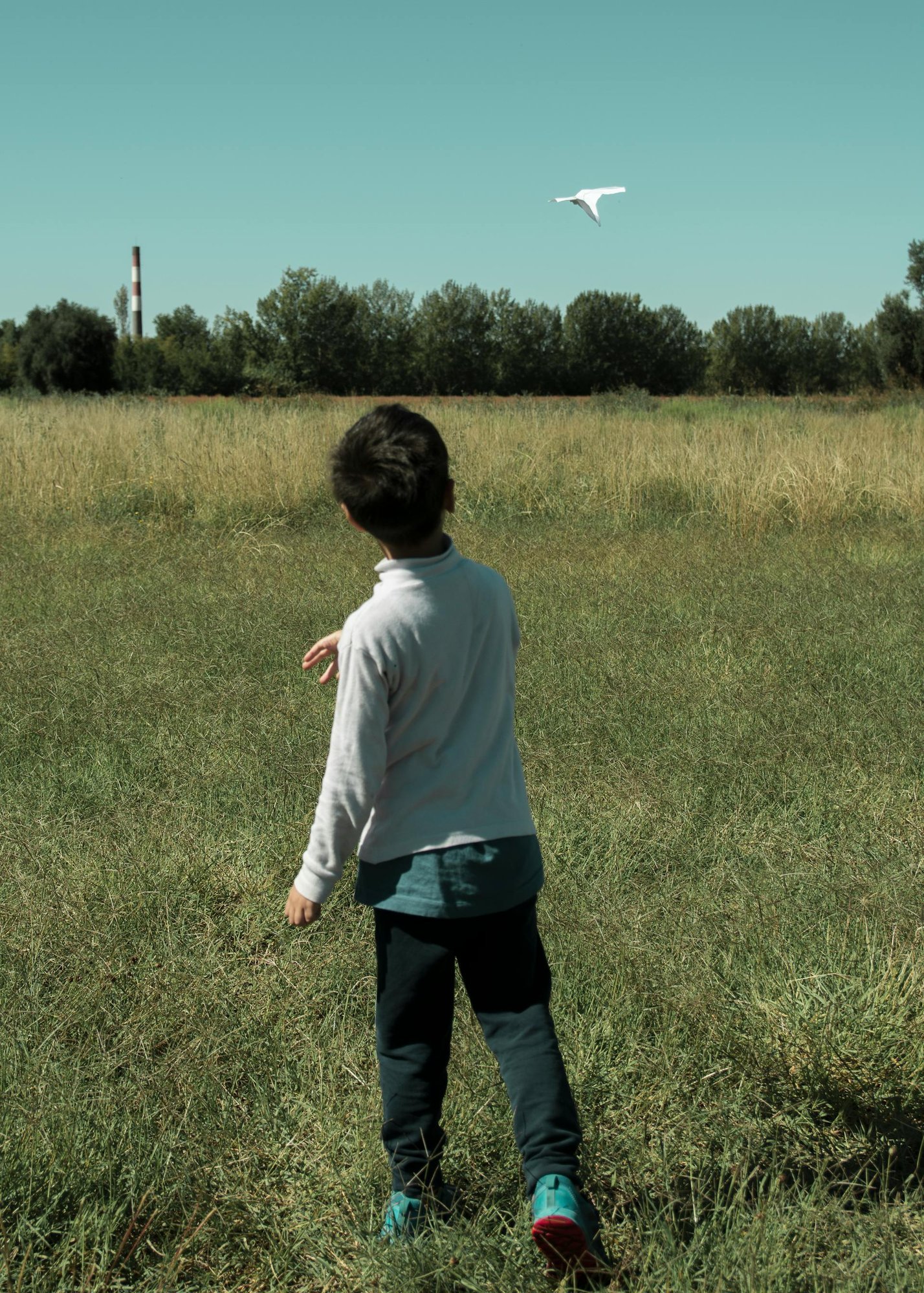 Boy throwing paper plane into the air in an open field of grass.