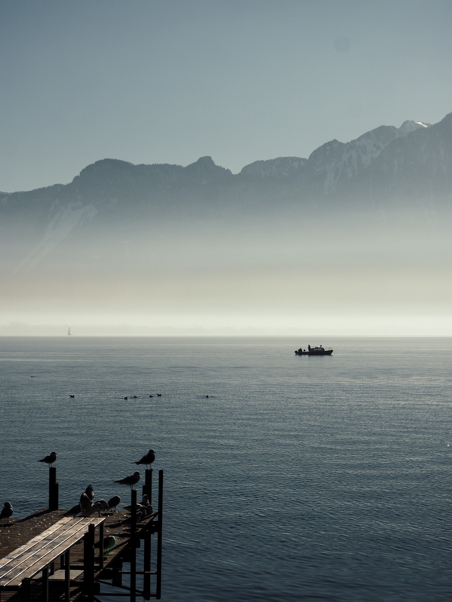 Switzerland lake morning mist landscape